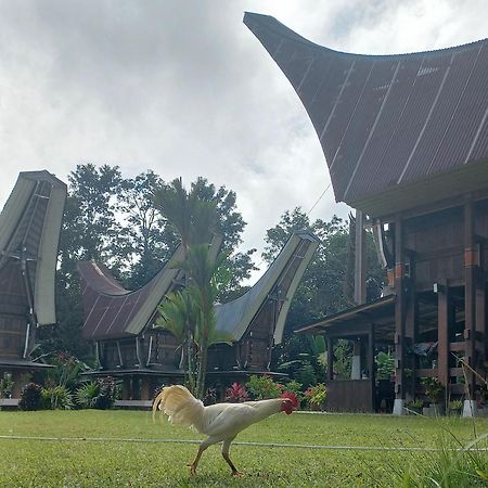 Toraja Homestay & Coffee Bunna Rantepao Exterior foto