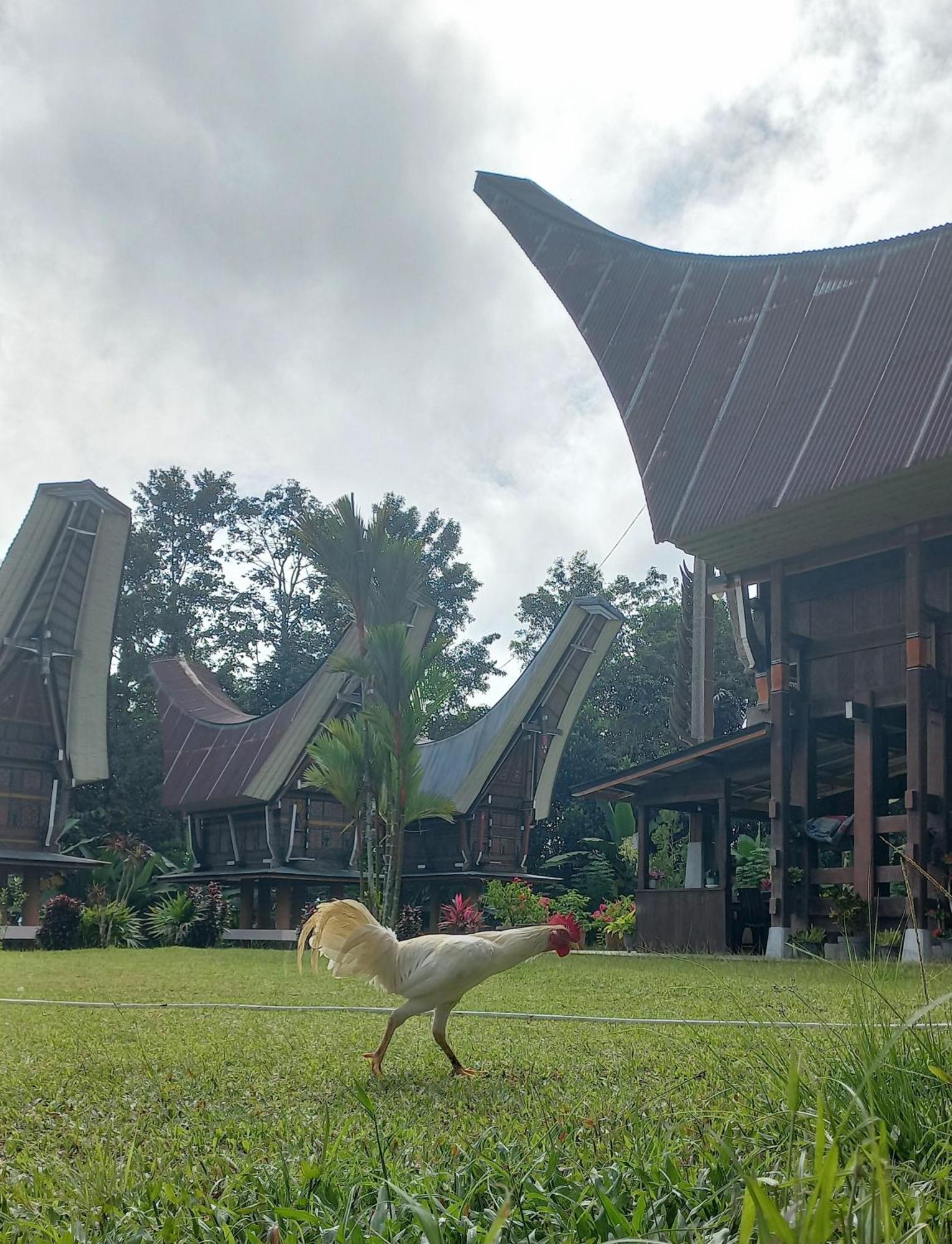 Toraja Homestay & Coffee Bunna Rantepao Exterior foto